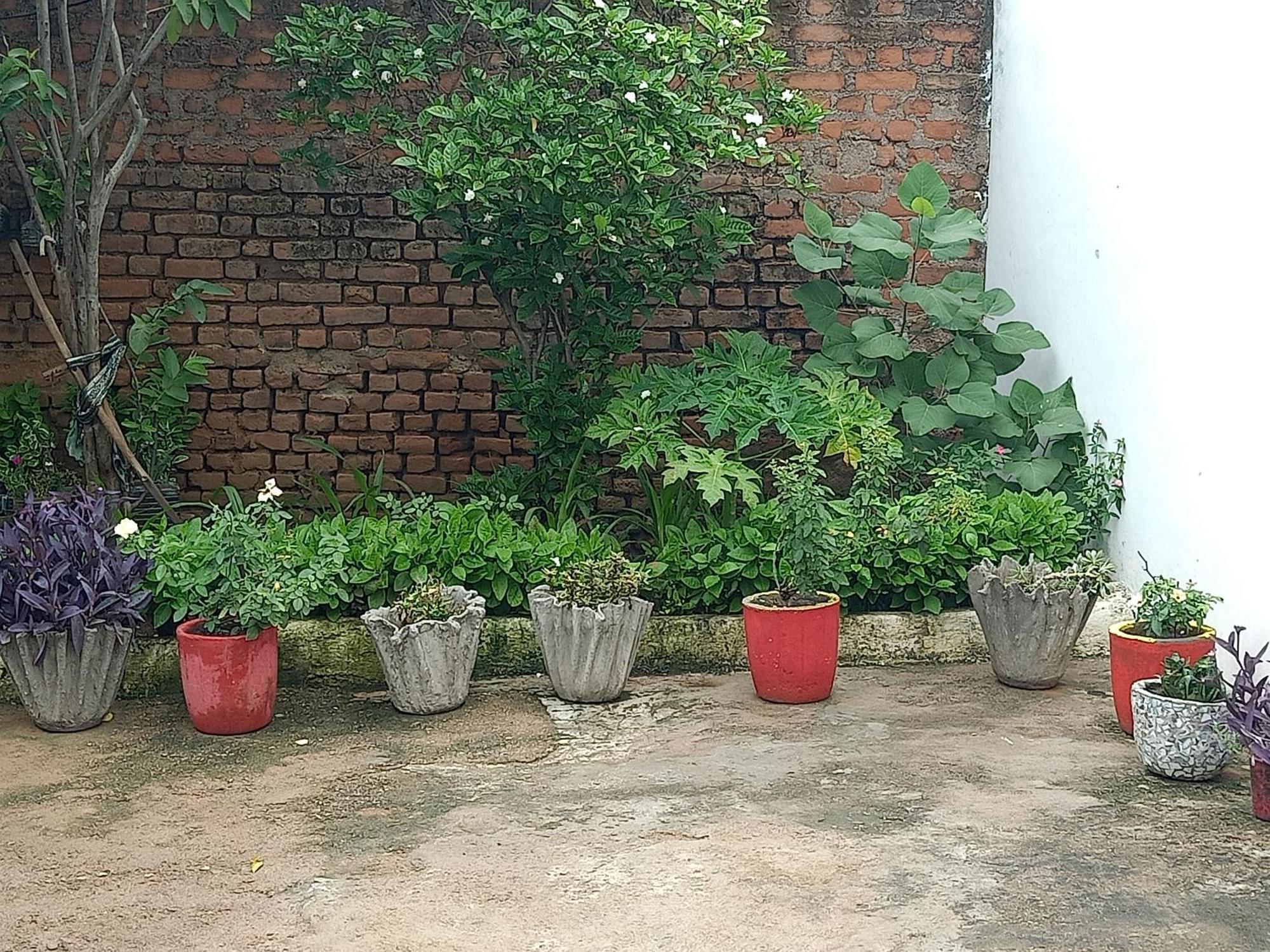 Khajuraho Rancho Khajurāho Exterior foto
