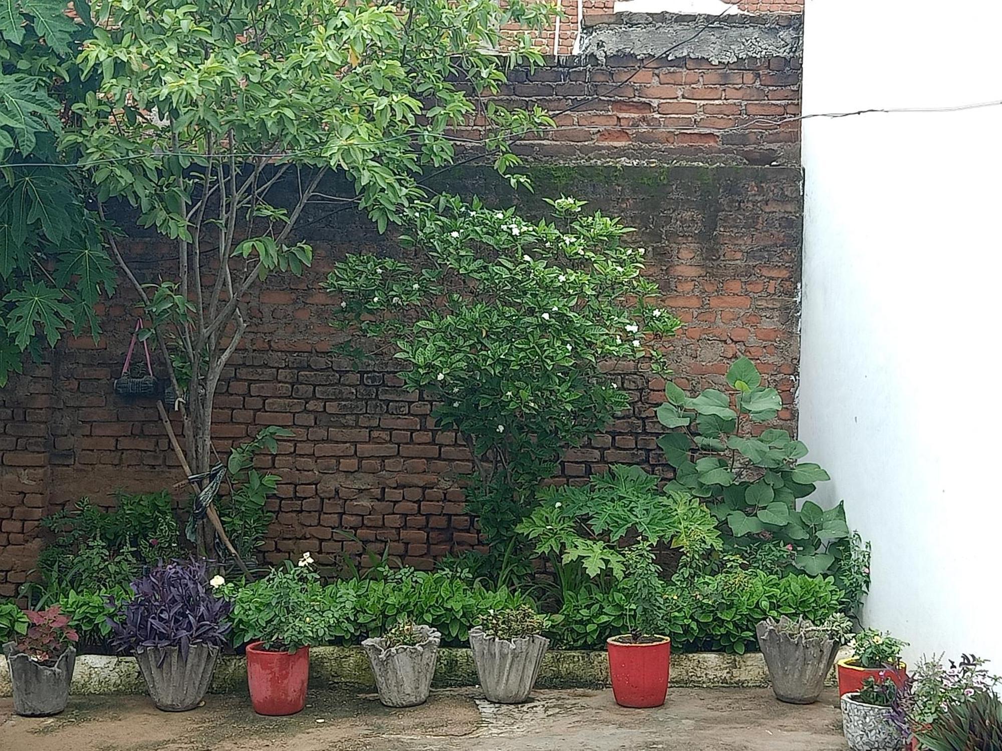 Khajuraho Rancho Khajurāho Exterior foto
